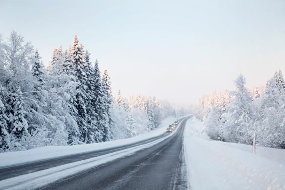 sno12