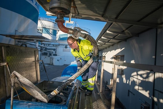 Allt fler kvinnor kör lastbil